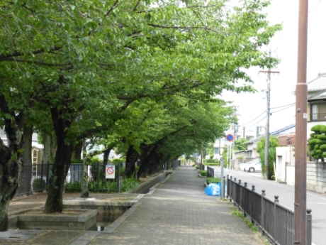 画像29